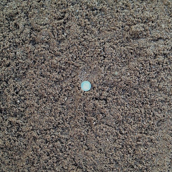 Gewaschener Sand/Kies - Füllsand