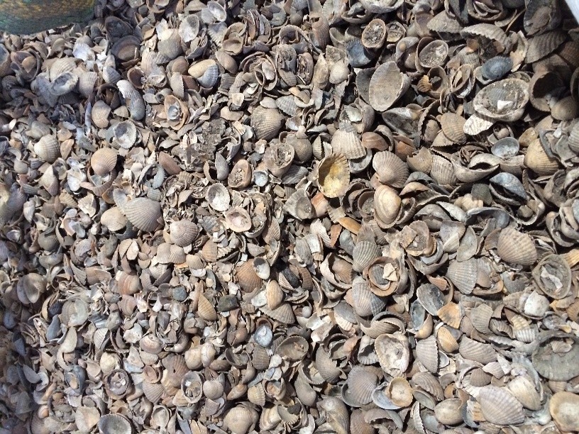 Wegebaumaterial - Muschelsplitt