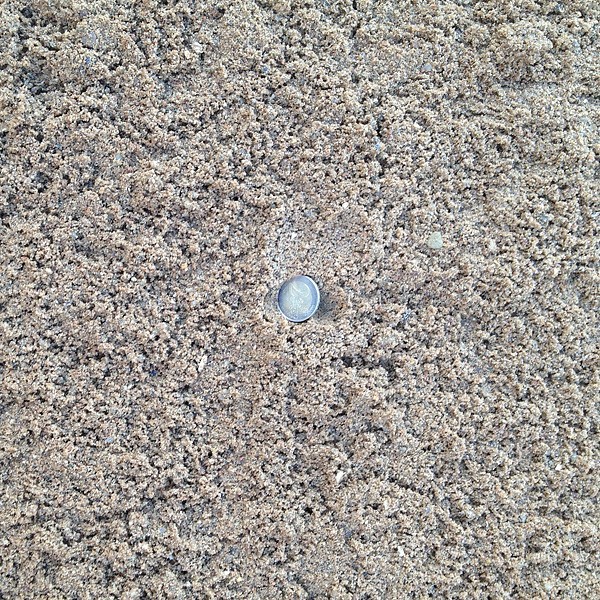 Gewaschener Sand/Kies - Plattensand